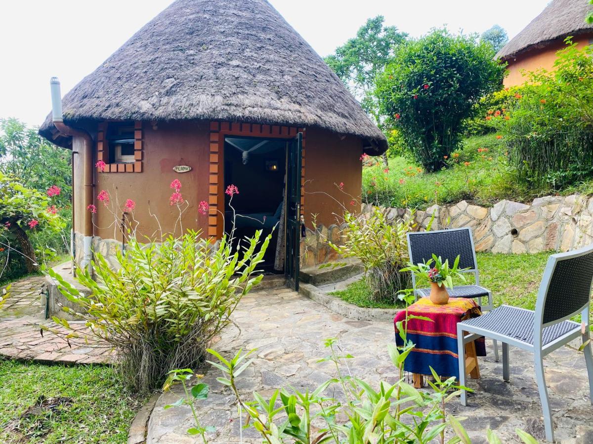 Nyore Hillside Retreat Mbarara Eksteriør bilde