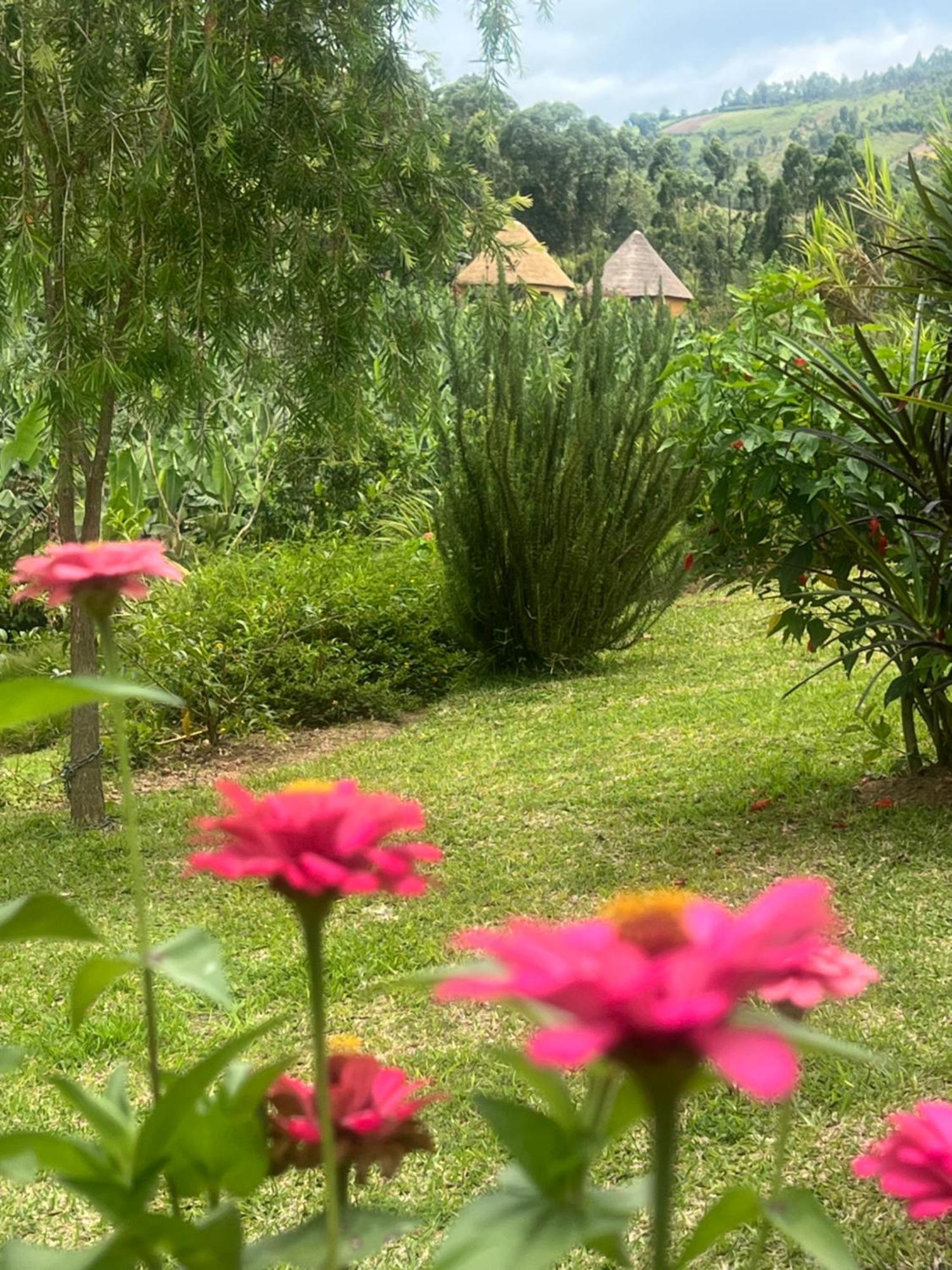 Nyore Hillside Retreat Mbarara Eksteriør bilde