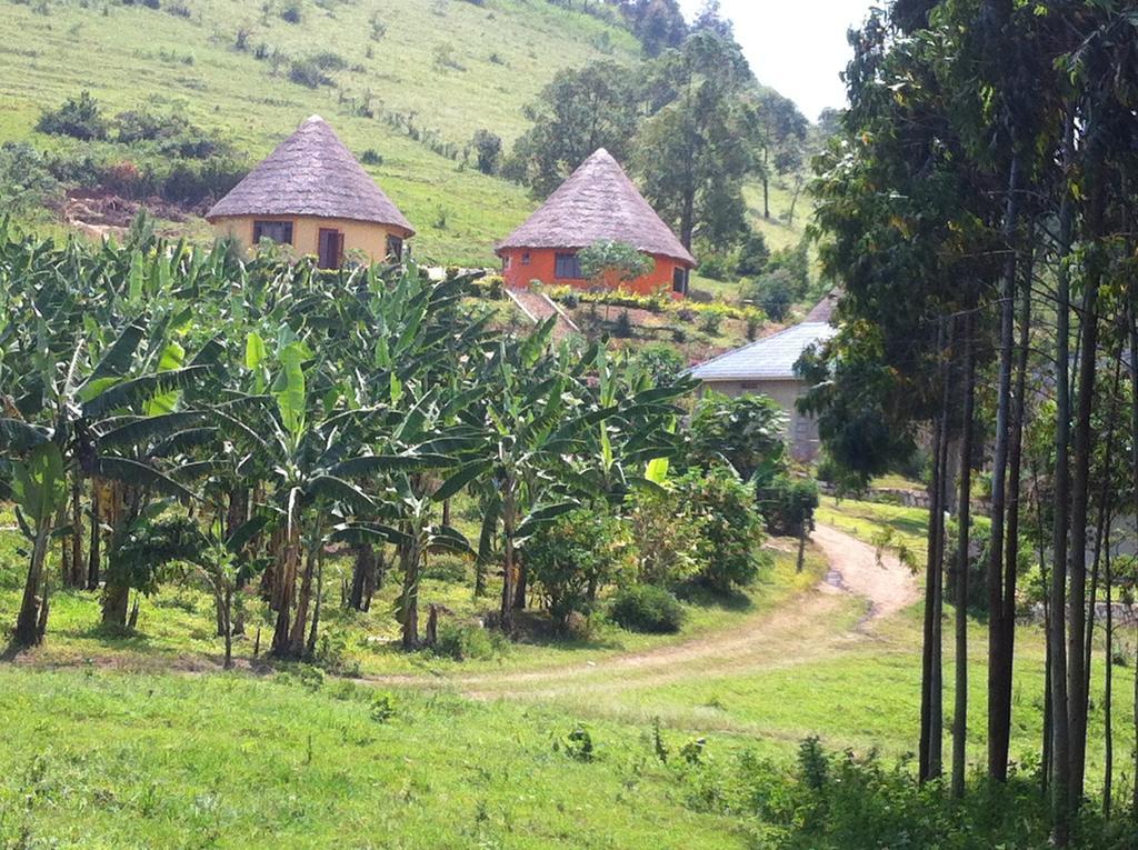 Nyore Hillside Retreat Mbarara Eksteriør bilde