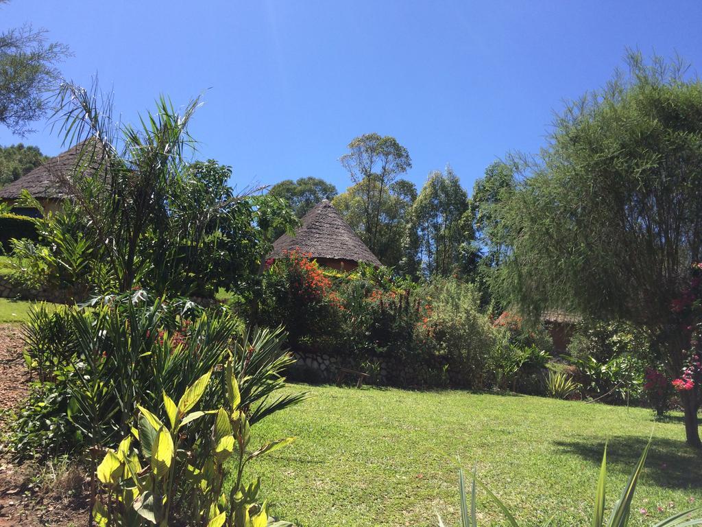 Nyore Hillside Retreat Mbarara Eksteriør bilde