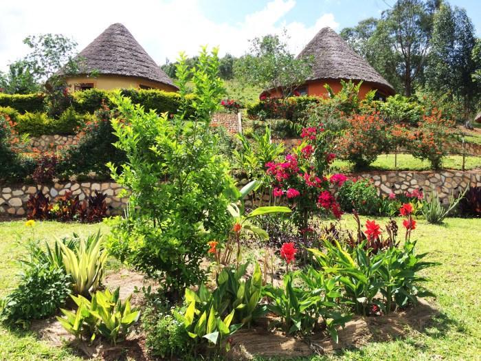 Nyore Hillside Retreat Mbarara Eksteriør bilde