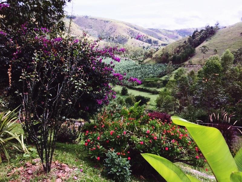 Nyore Hillside Retreat Mbarara Eksteriør bilde