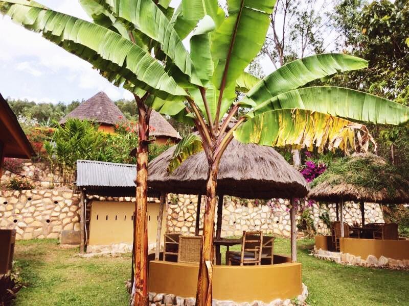 Nyore Hillside Retreat Mbarara Eksteriør bilde