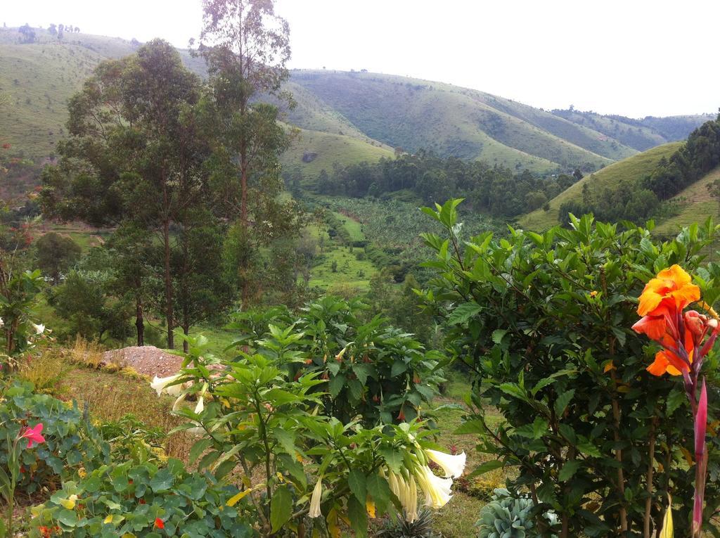 Nyore Hillside Retreat Mbarara Eksteriør bilde