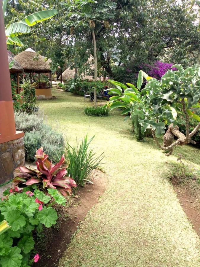 Nyore Hillside Retreat Mbarara Eksteriør bilde